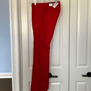 Express Columnist Dress Pant